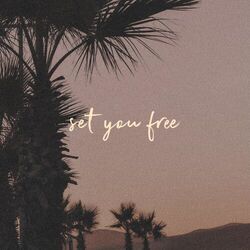 Cover of set you free
