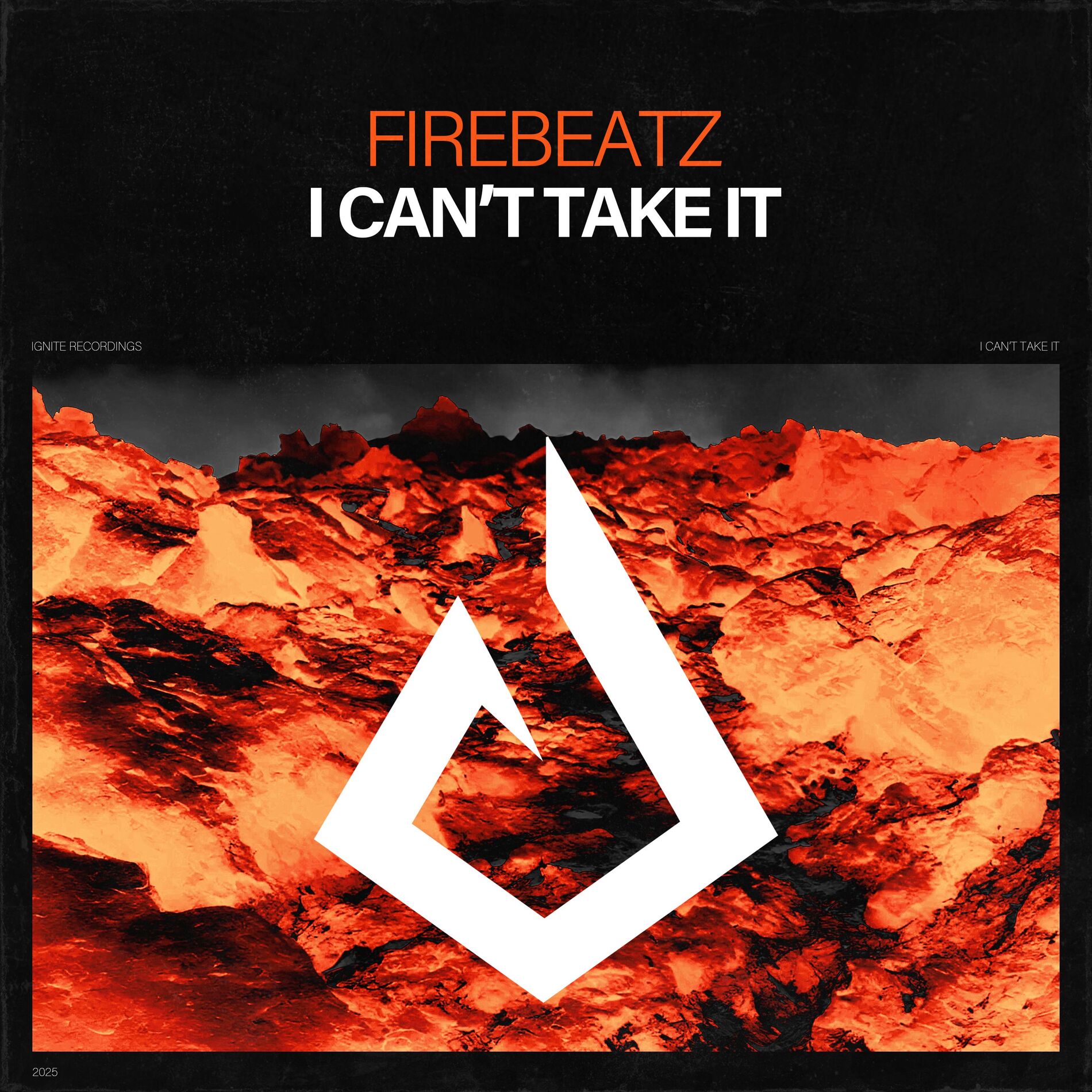 Album cover of I Can't Take It
