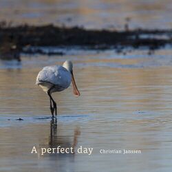 Cover of A perfect day
