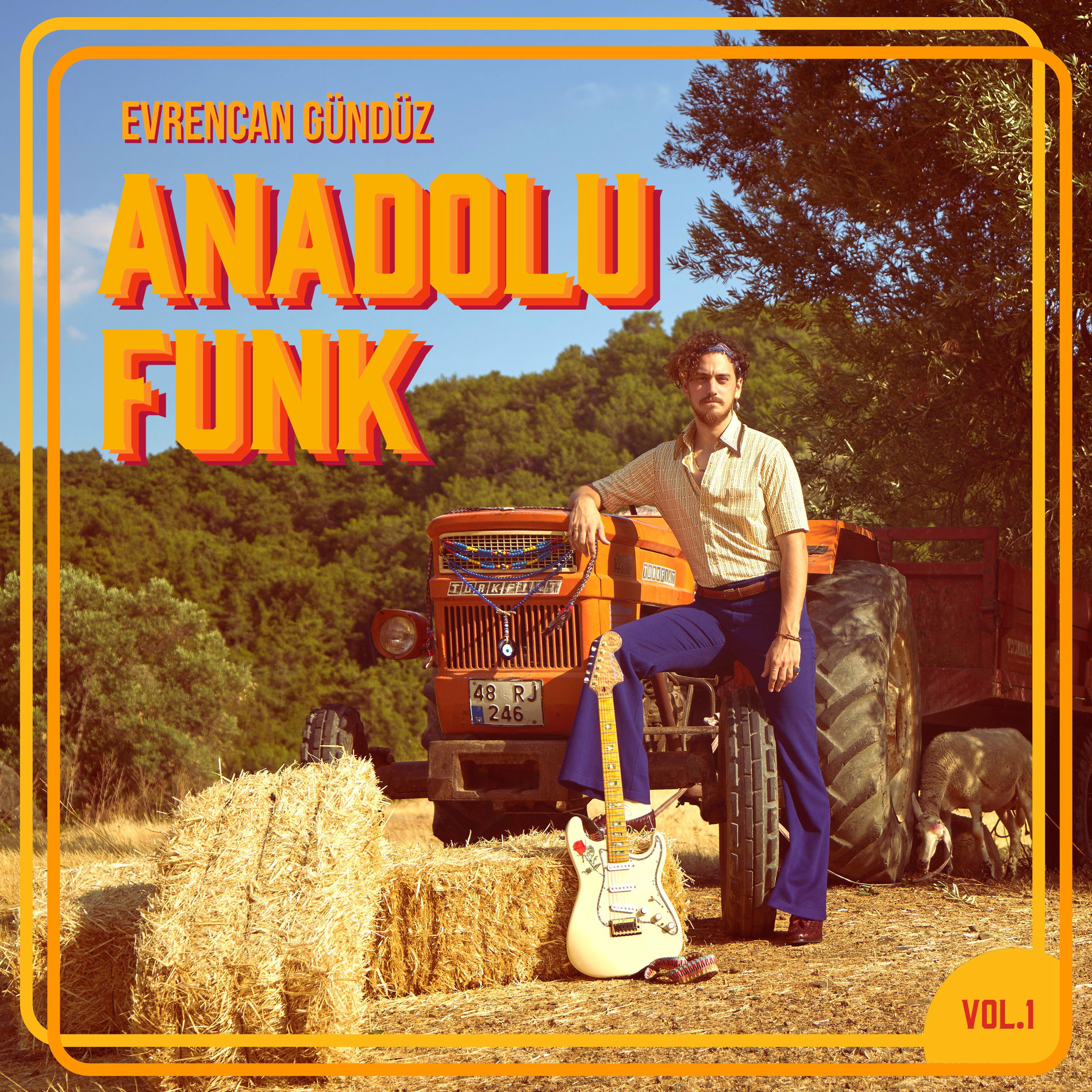 Album cover of Anadolu Funk, Vol. 1