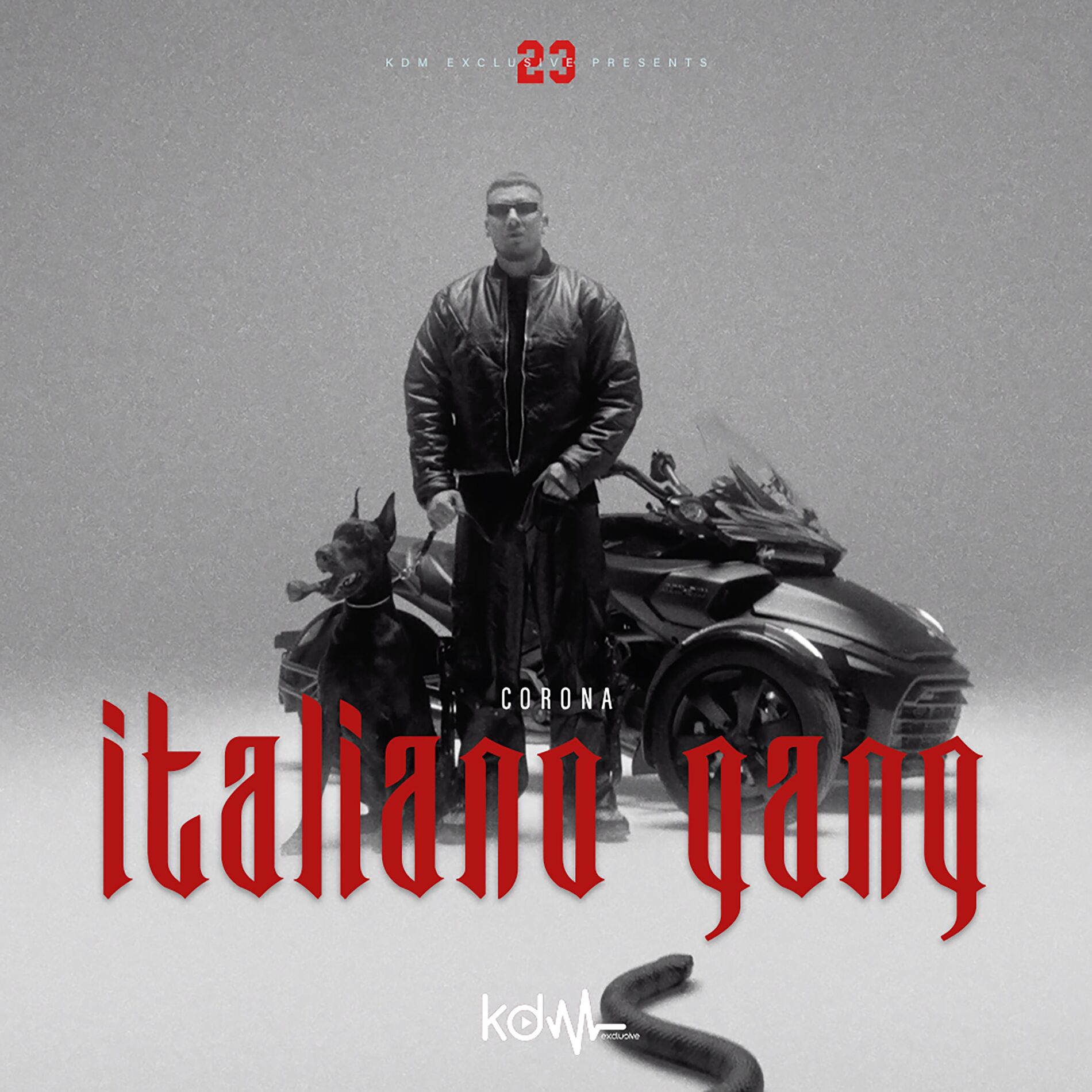 Album cover of Italiano Gang