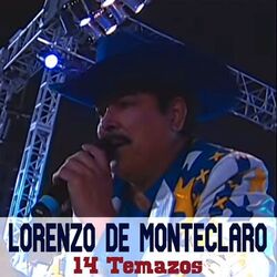 Cover of 14 Temazos
