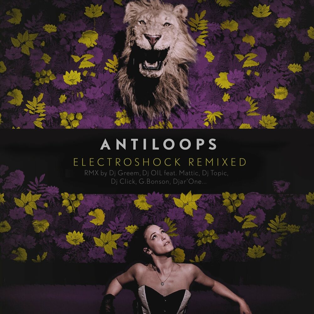 Picture of Electroshock Remixed