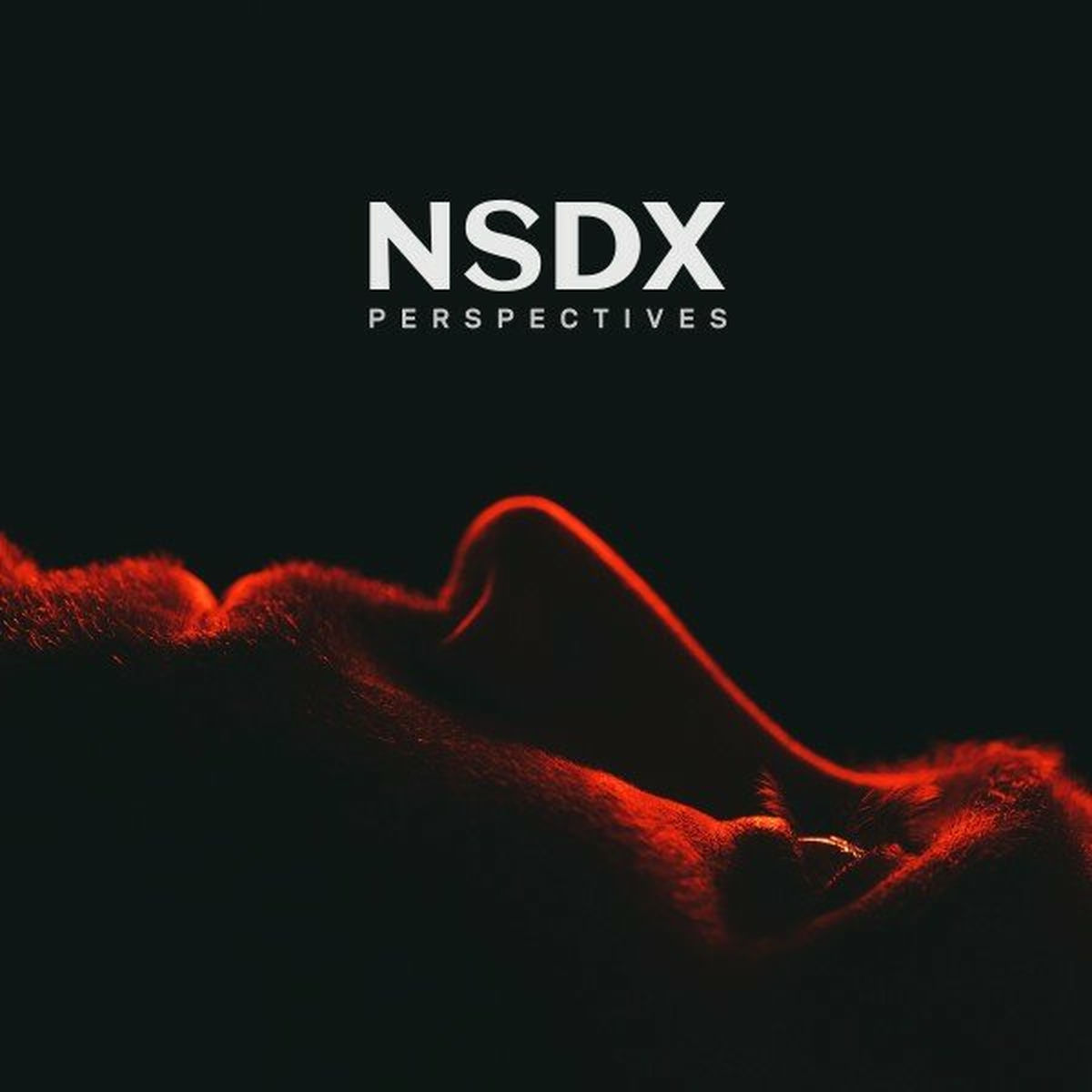 Album cover of Perspectives