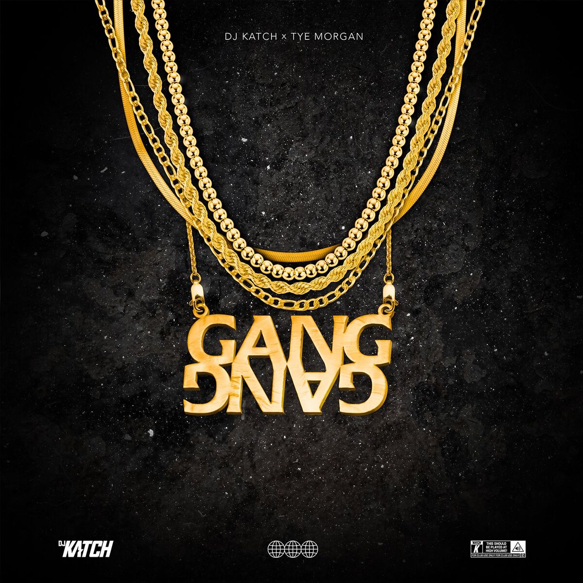 Album cover of Gang Gang