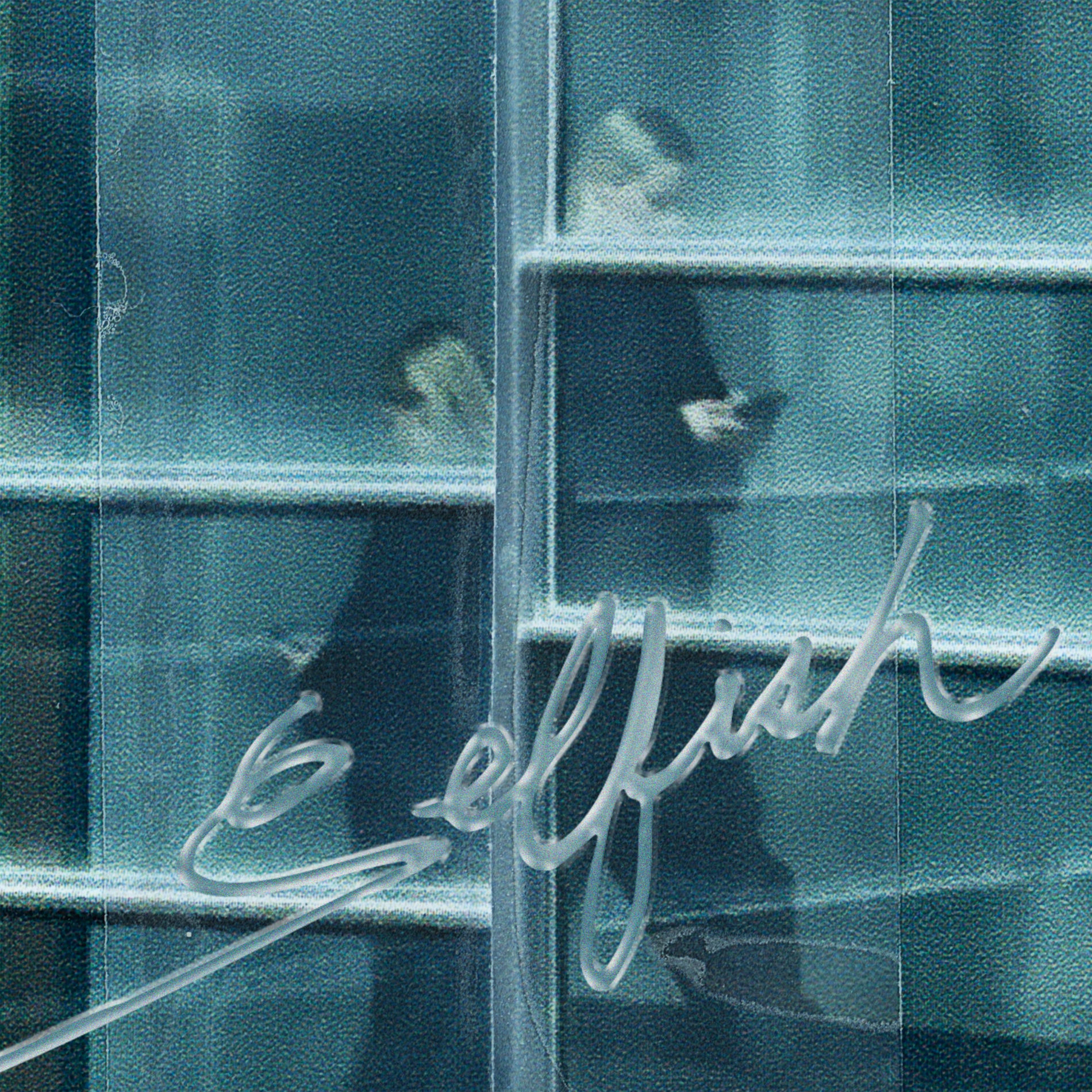 Album cover of Selfish