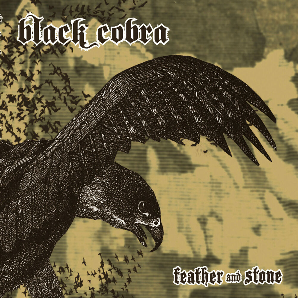 Picture of Feather And Stone