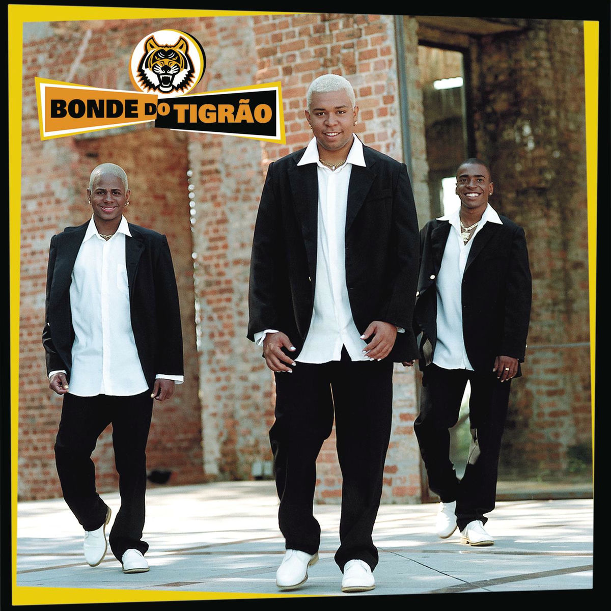 Album cover of Pega o Bonde e Vem