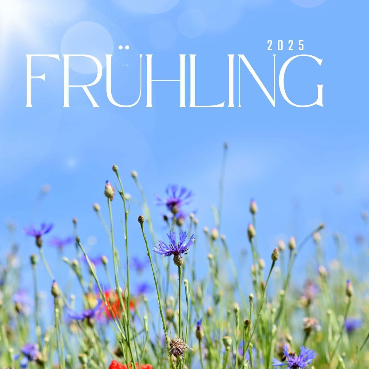 Album cover of Frühling 2025