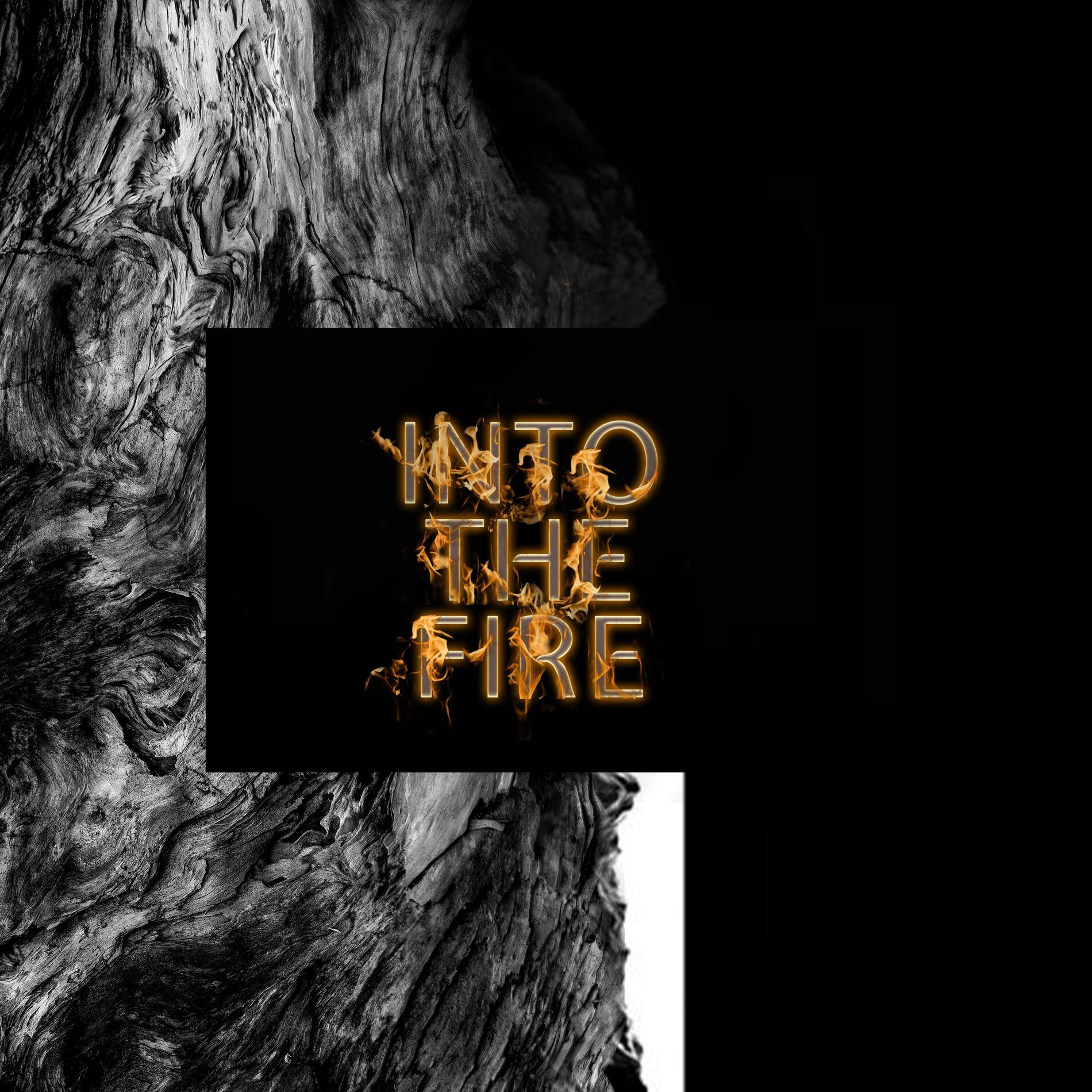 Album cover of Into The Fire