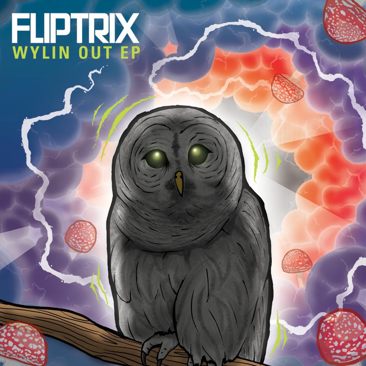 Album cover of Wylin Out