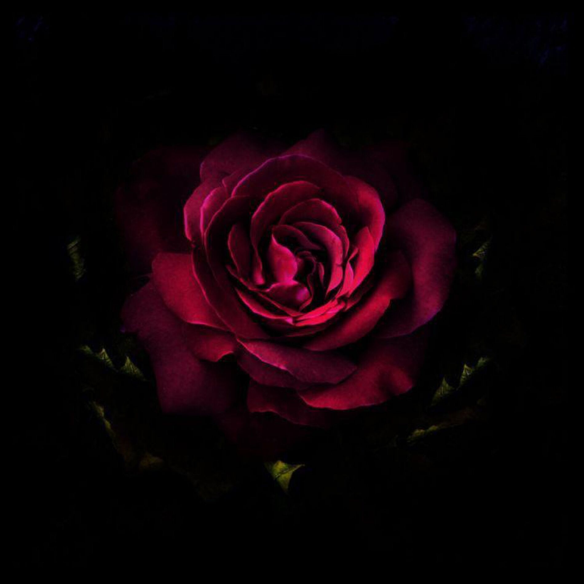 Album cover of Outsini