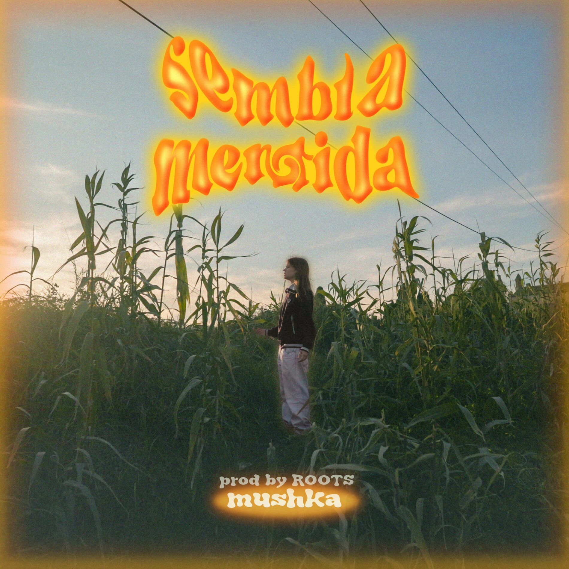 Album cover of Sembla Mentida (feat. roots)