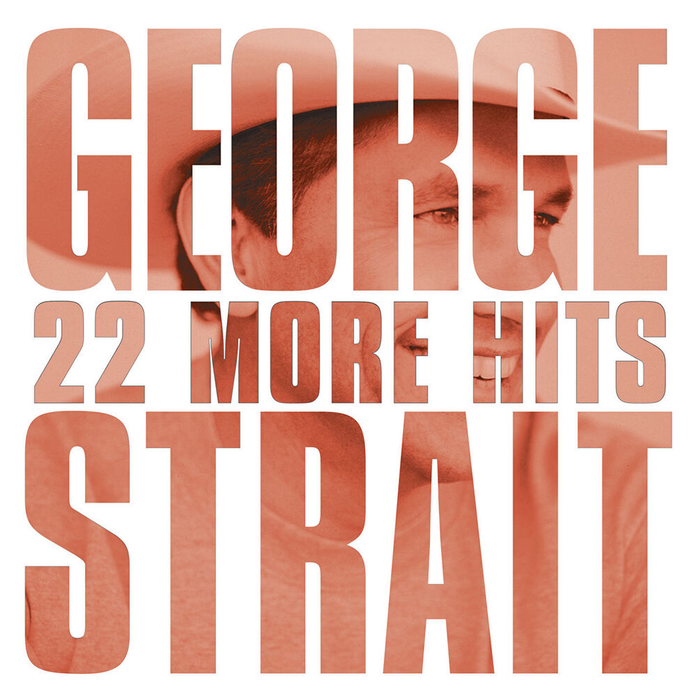 Picture of 22 More Hits
