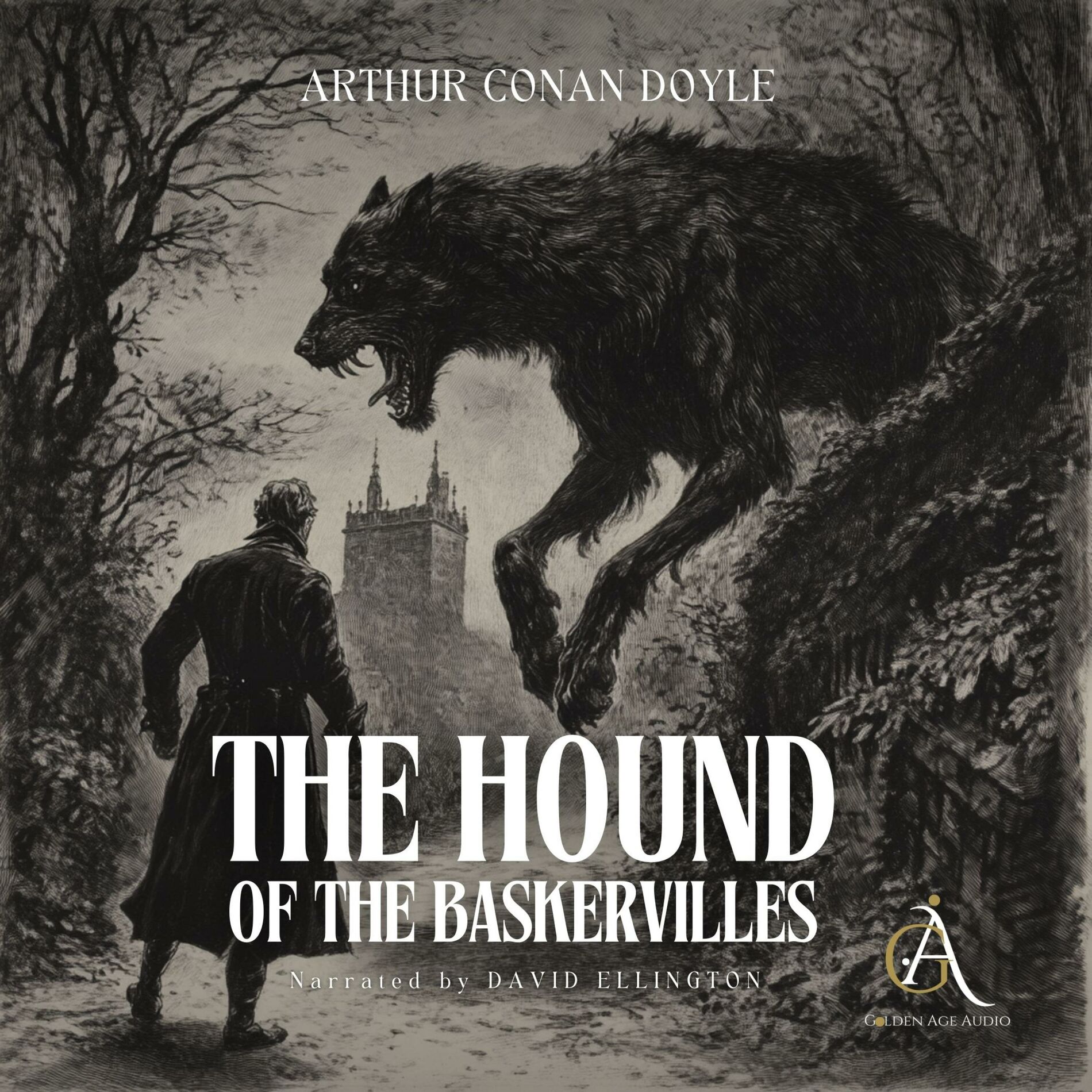Album cover of Chapter 01 - Sherlock Holmes: The Hound of the Baskervilles - Audiobook