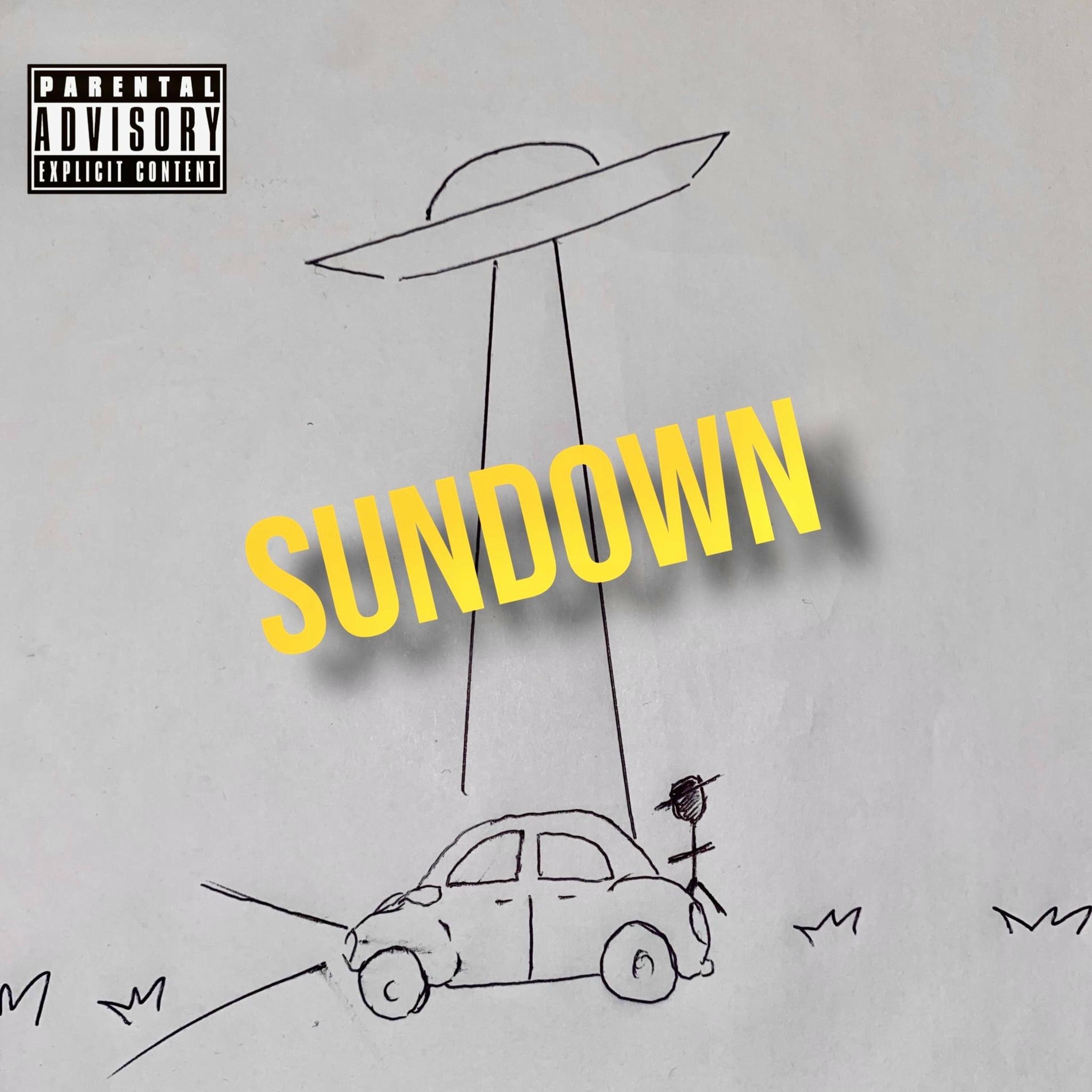 Album cover of DAMAGED GOODS