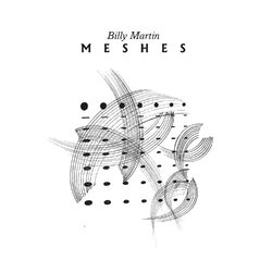 Cover of Meshes