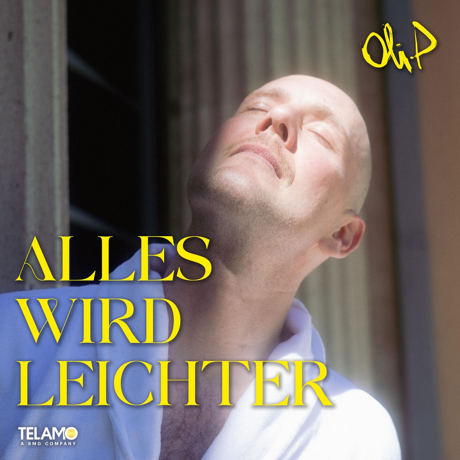 Album cover of Alles wird leichter