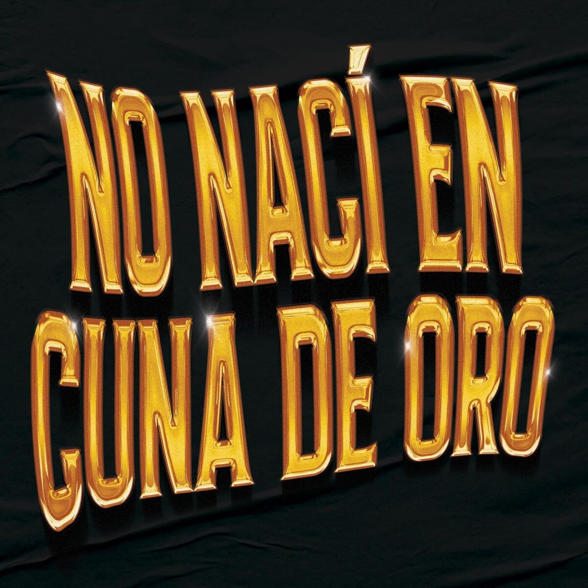 Album cover of No Naci En Cuna De Oro