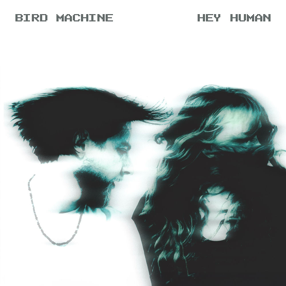 Album artwork for Closure by Bird Machine