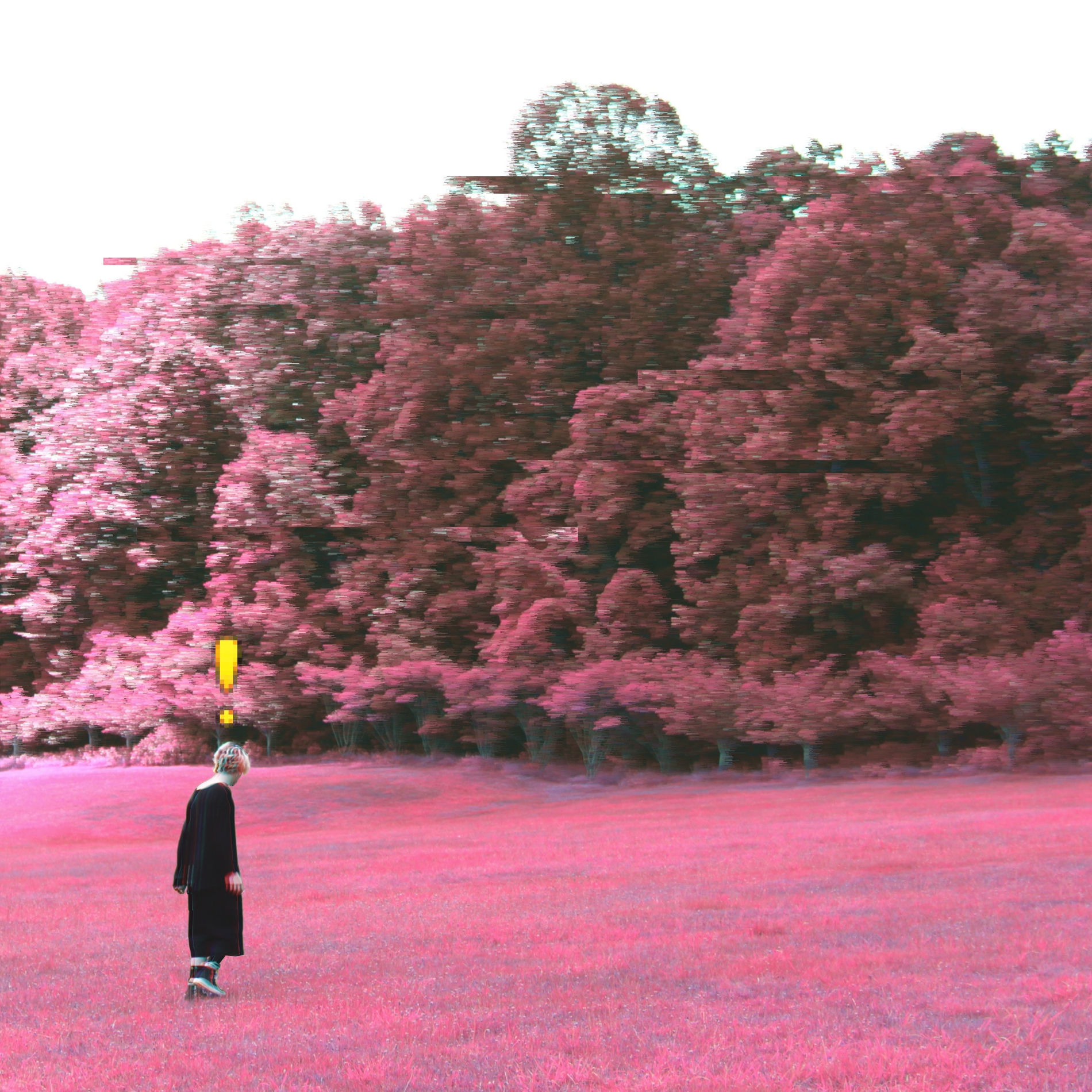Album cover of NPC