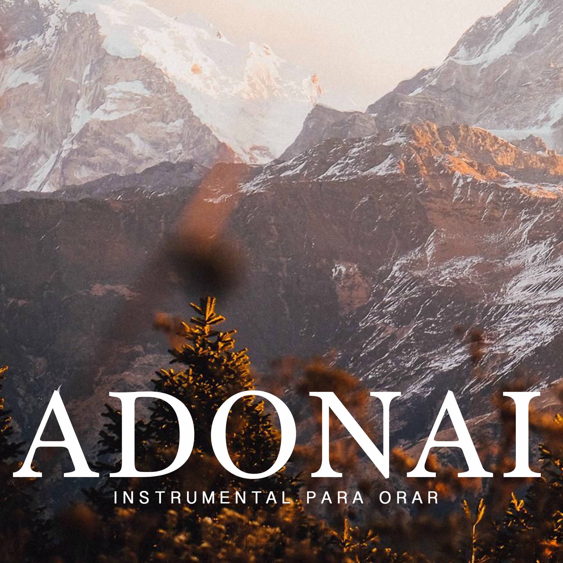 Album cover of Príncipe de Paz
