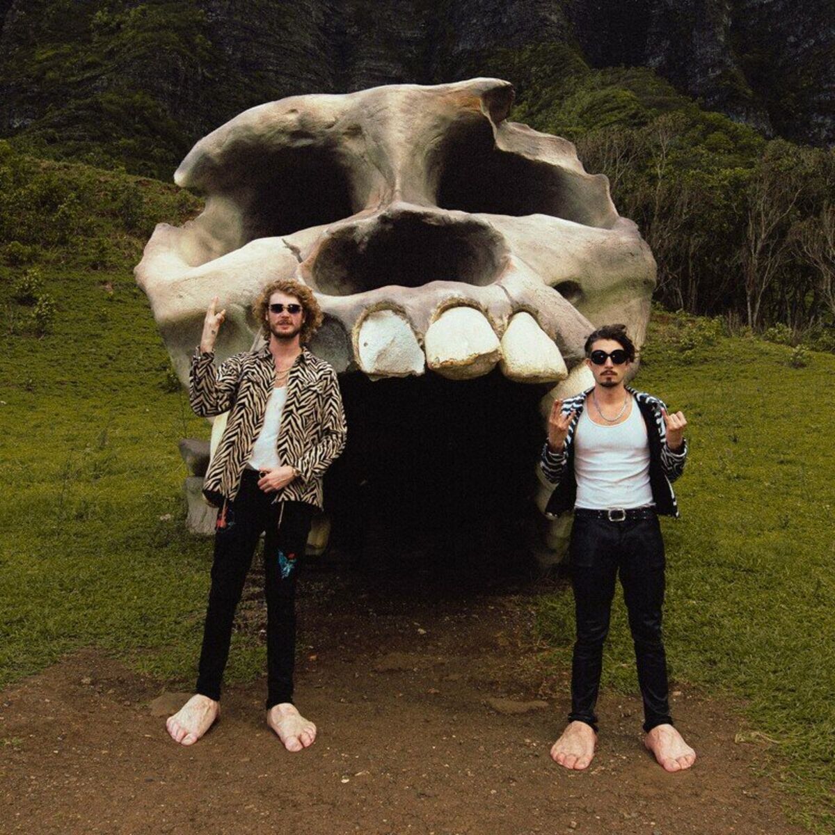 Album cover of Goodness Gracious