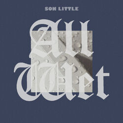 Cover of All Wet