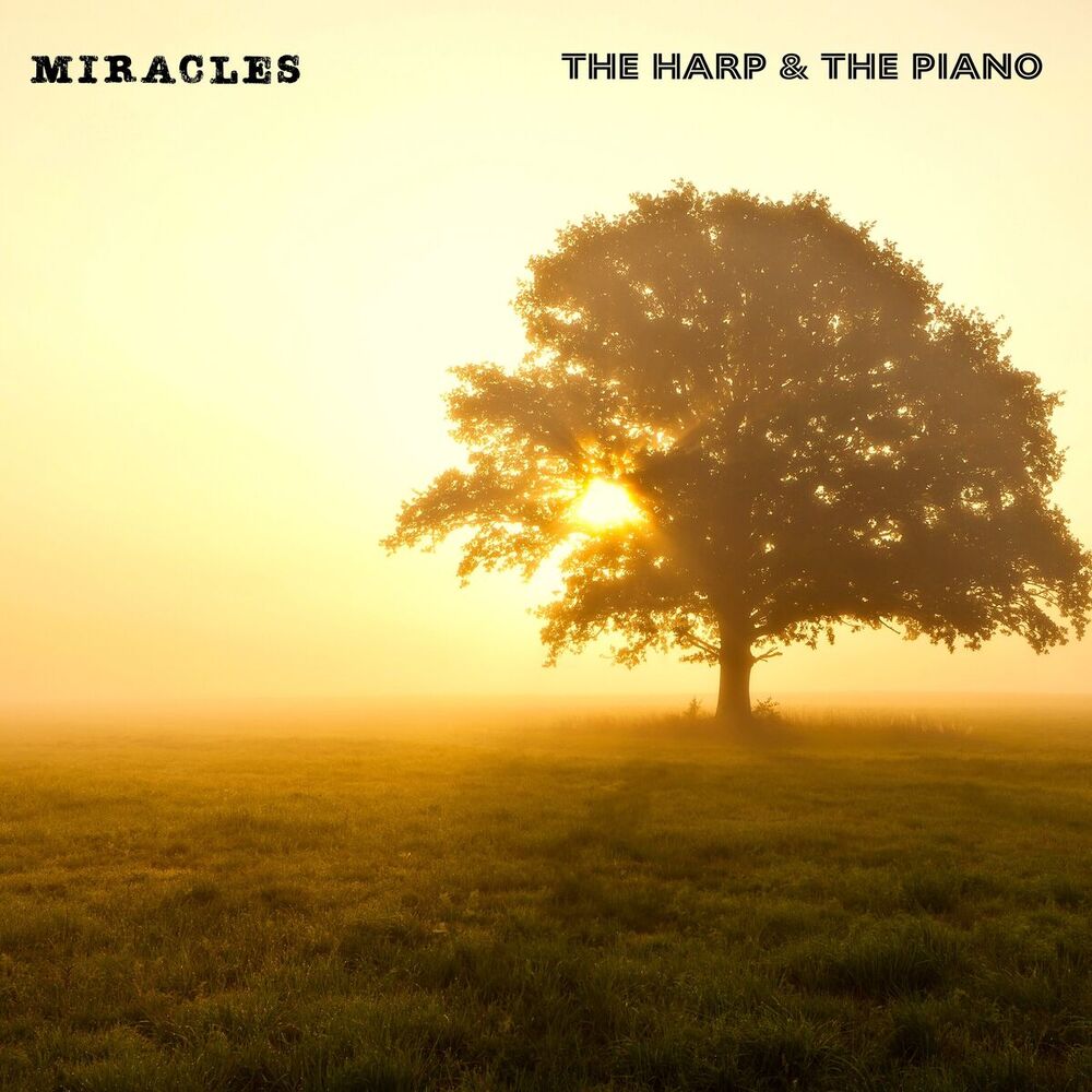 Picture of Miracles