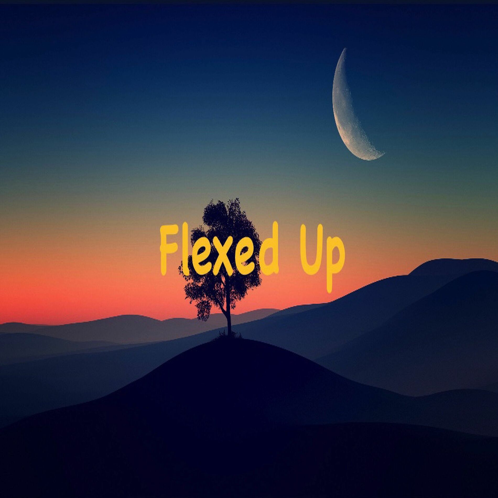 Album cover of Flexed Up