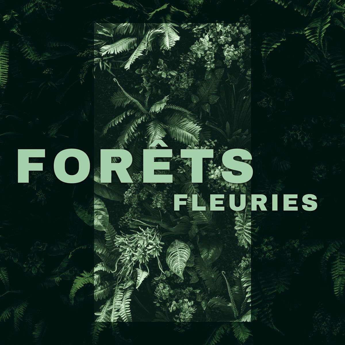 Album cover of Forêts fleuries: Sons de ruisseaux, Chant d'oiseaux, Pluie printanière