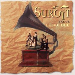 Cover of Salut la bolduc
