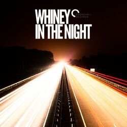 Cover of In The Night - EP