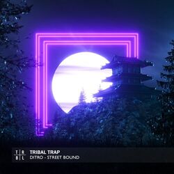Cover of street bound