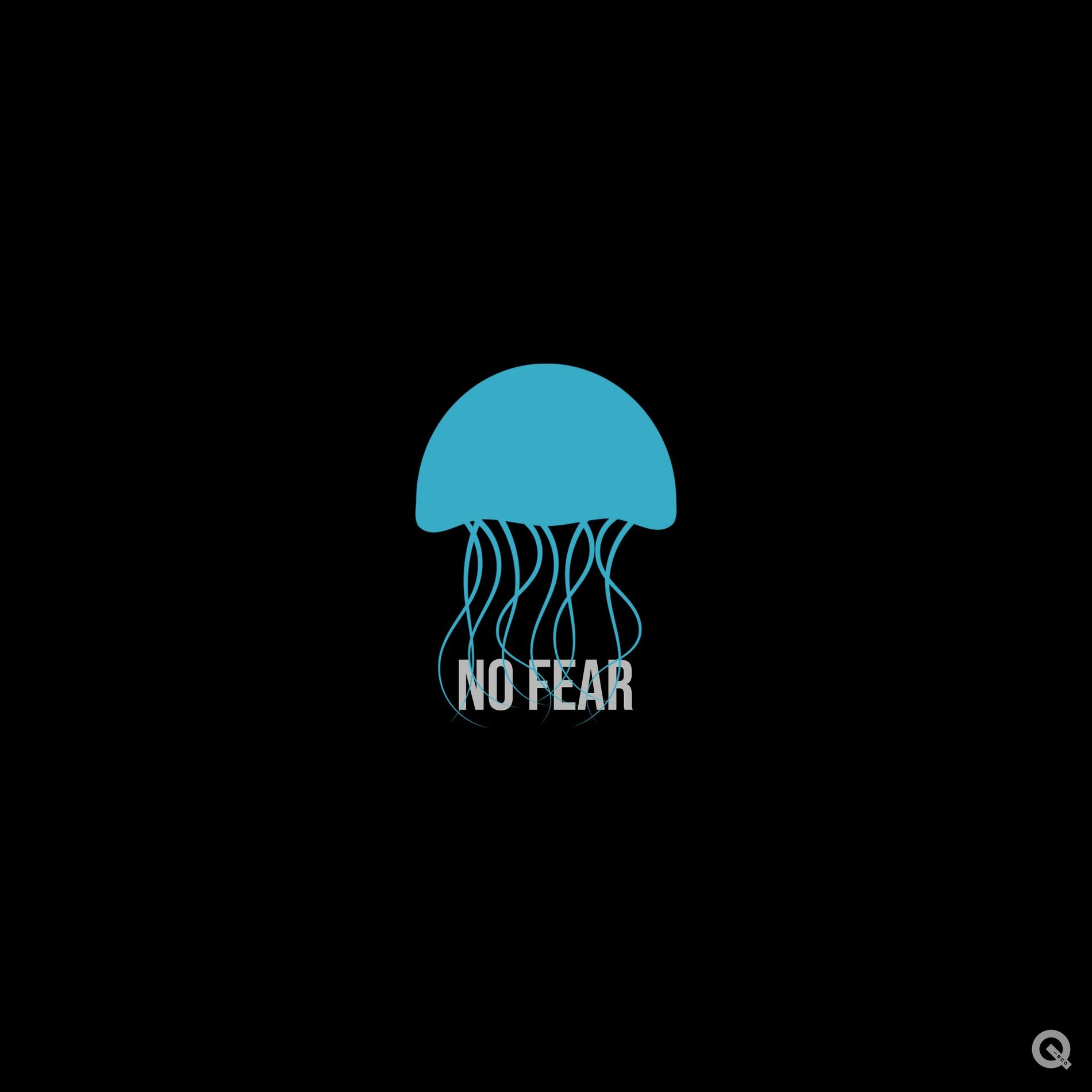 Album cover of No Fear