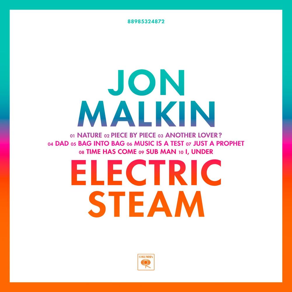 Picture of Electric Steam