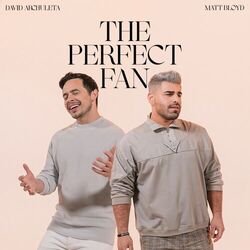 Cover of The Perfect Fan