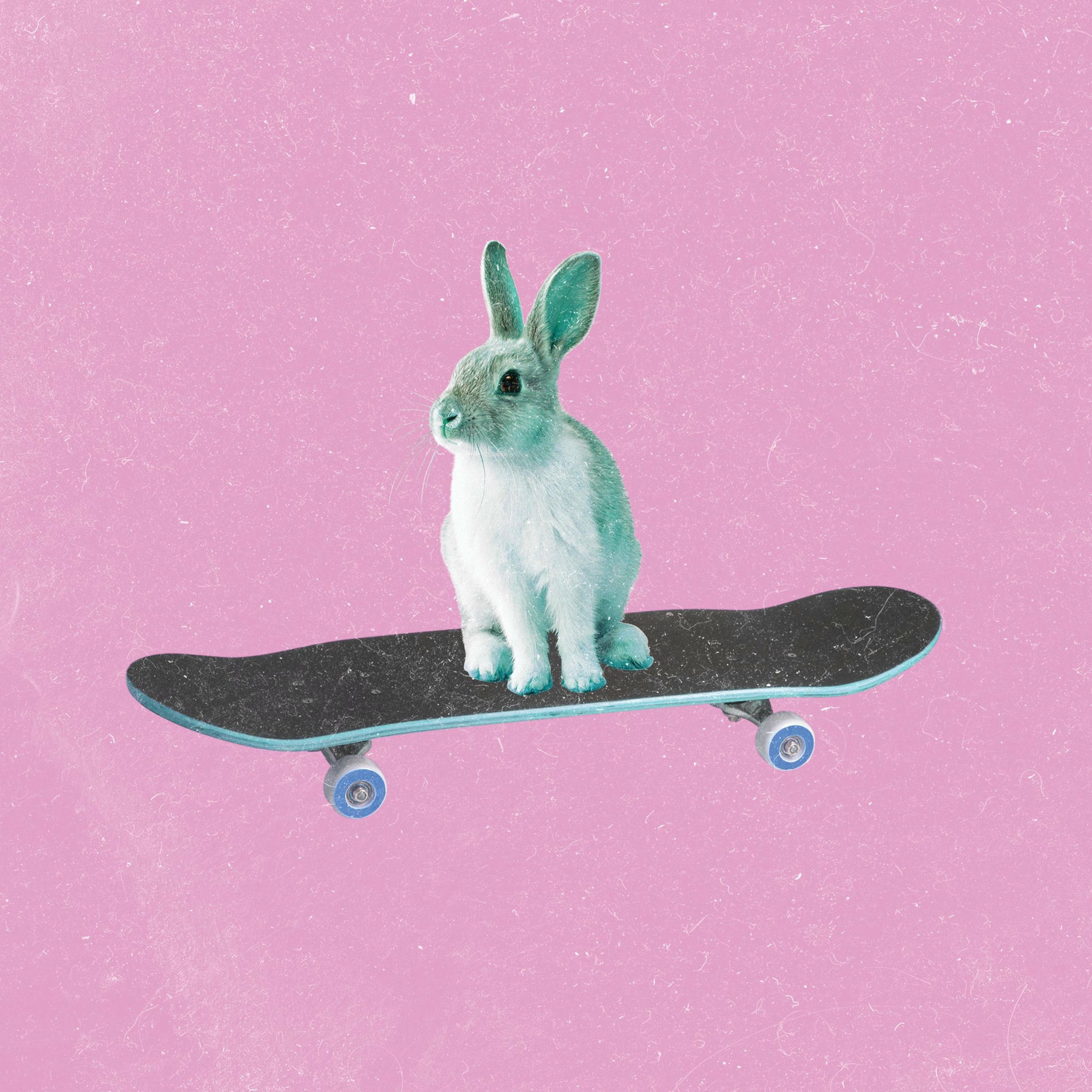 Album cover of Curious Alice