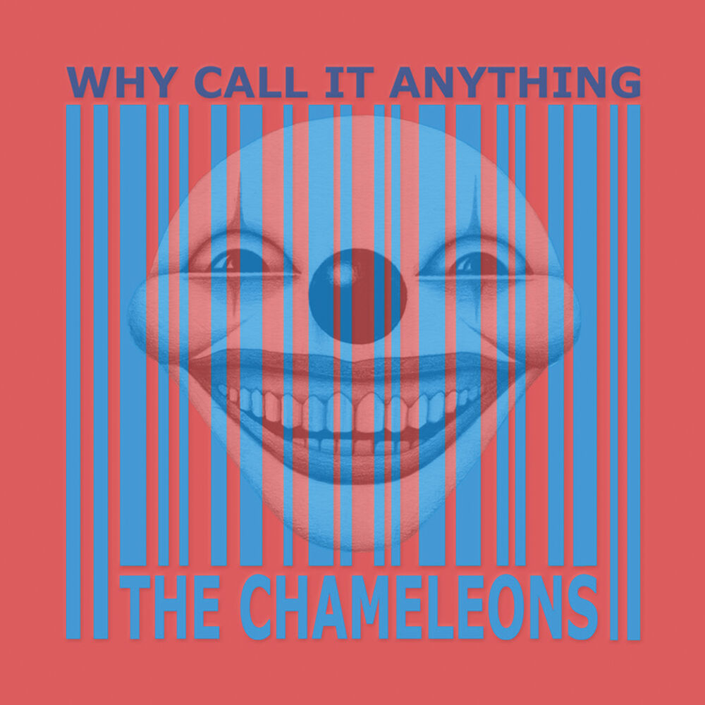 Picture of Why Call It Anything