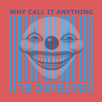 The Chameleons: álbuns, músicas, shows | Deezer