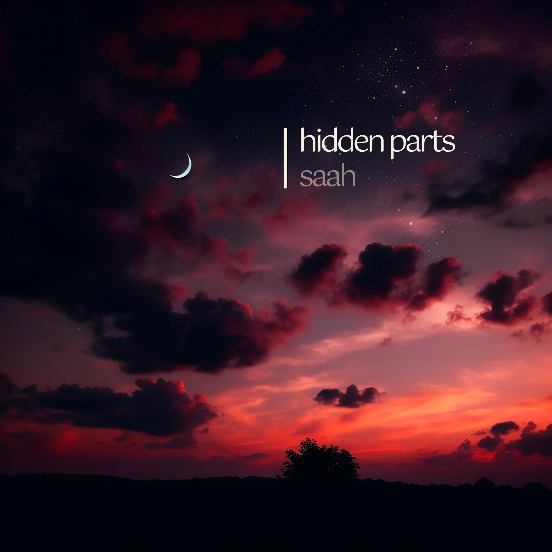 Album cover of run