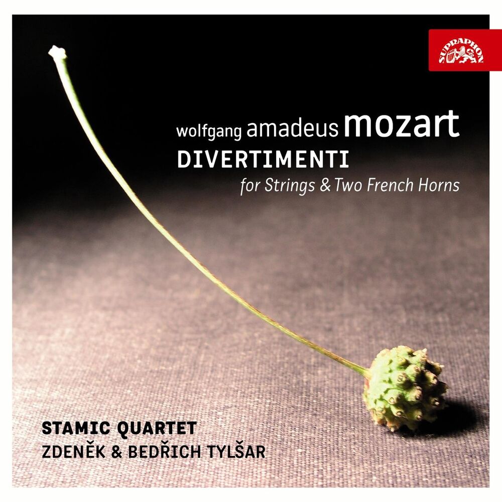 Picture of Mozart: Divertimenti for Strings and 2 French Horns