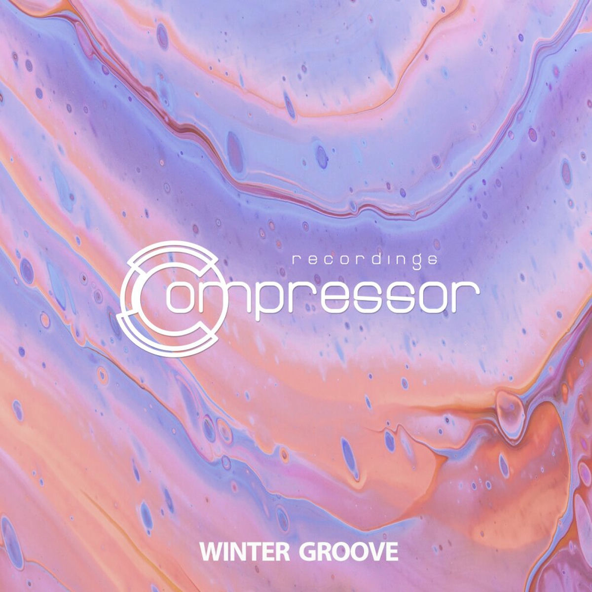 Album cover of Winter Groove