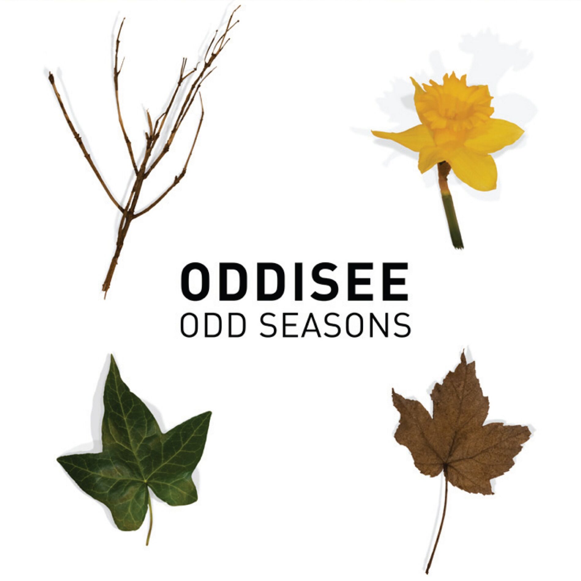 Album cover of Odd Seasons