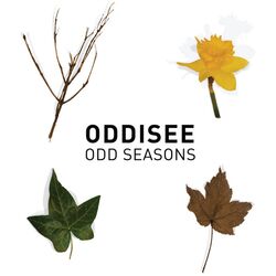 Cover of Odd Seasons