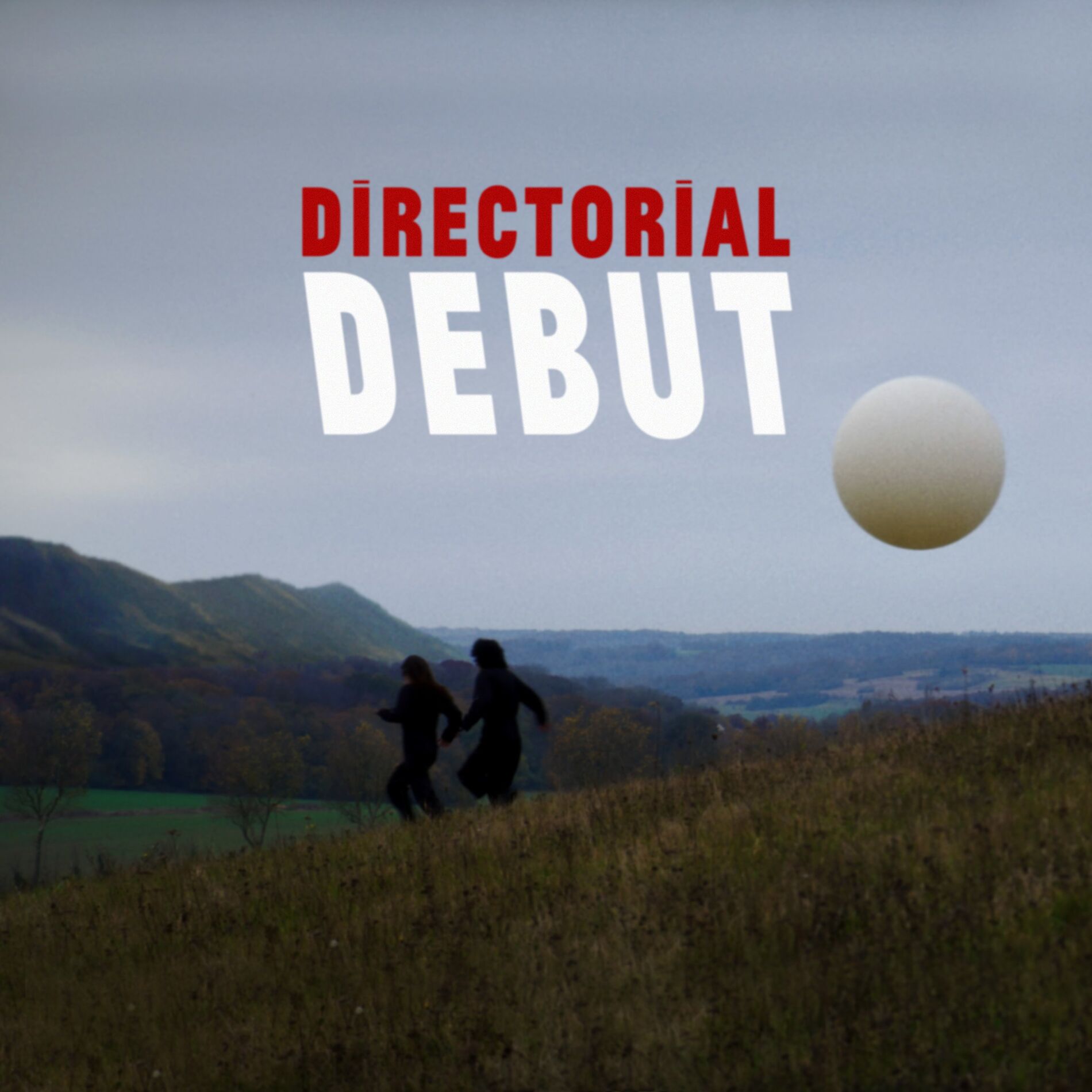 Album cover of Directorial Debut