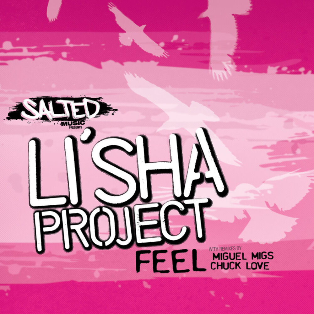 Picture of Li'Sha Project
