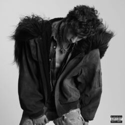 music cover