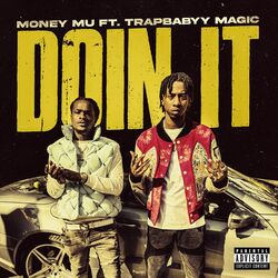 Cover of Doin It