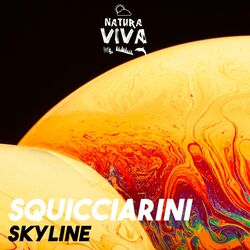 Cover of Skyline
